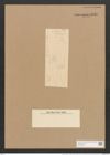 Hantzschia amphioxys "var. belgica" (Ehrenb.) Grunow (de-Toni-Nr.: Genus 50, Species 2204) Zeichnungen Sammlung Grunow Nr. 4410 (NHMW-BOT-W0372632)
